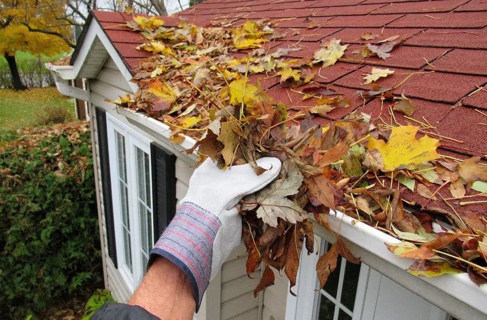 Tips to prepare your roof during Fall Season image